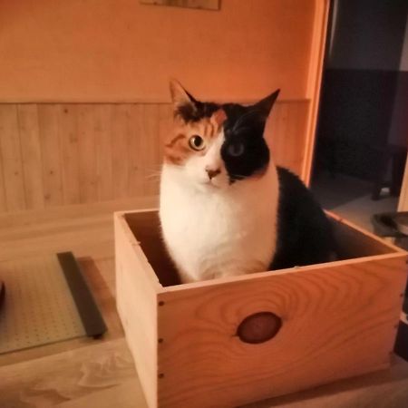 Grande Chambre D'Hote Proche Disneyland Et Parc Des Felins Guerard Экстерьер фото